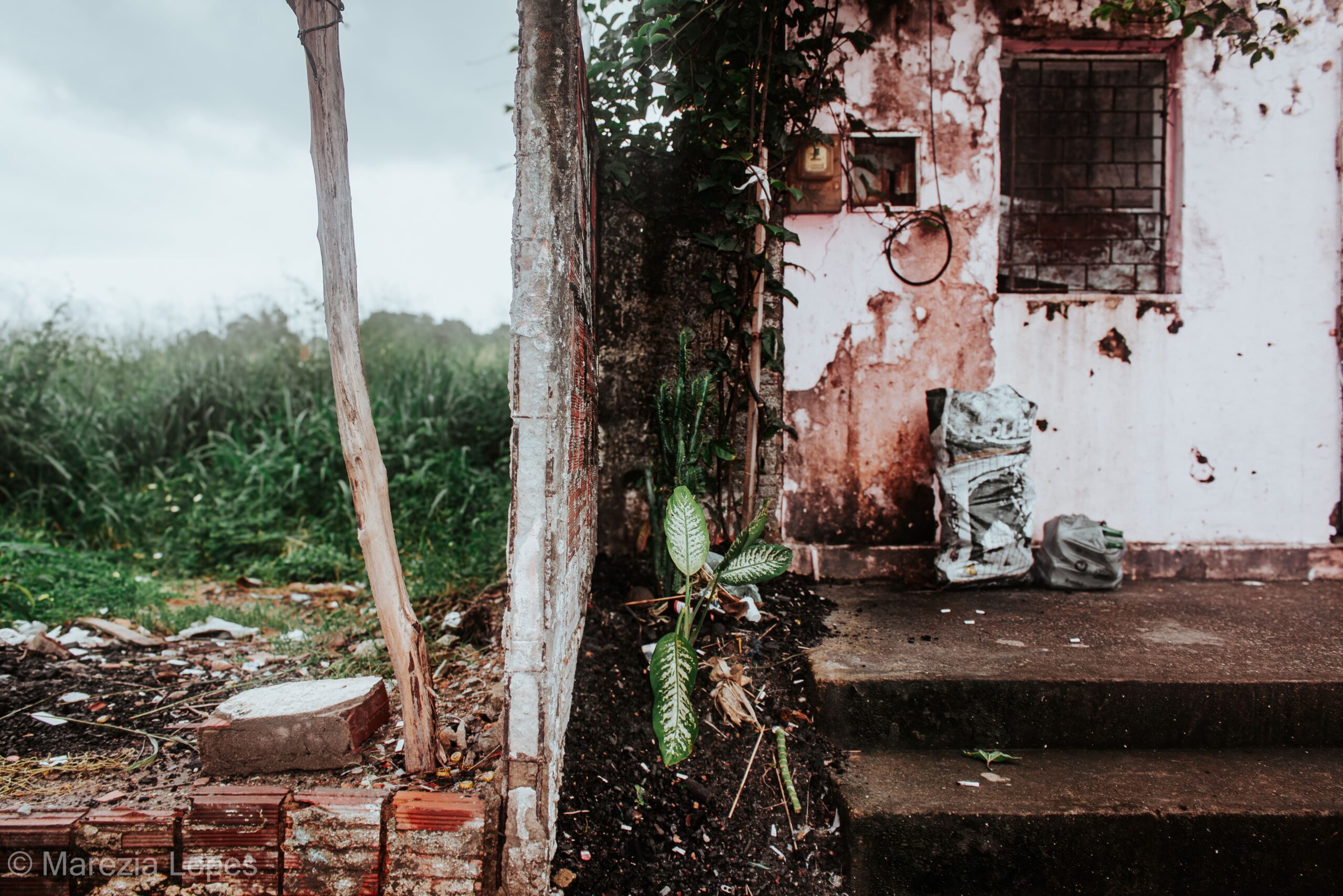 Chamam de descuido, mas é abandono: Marezia, 2025