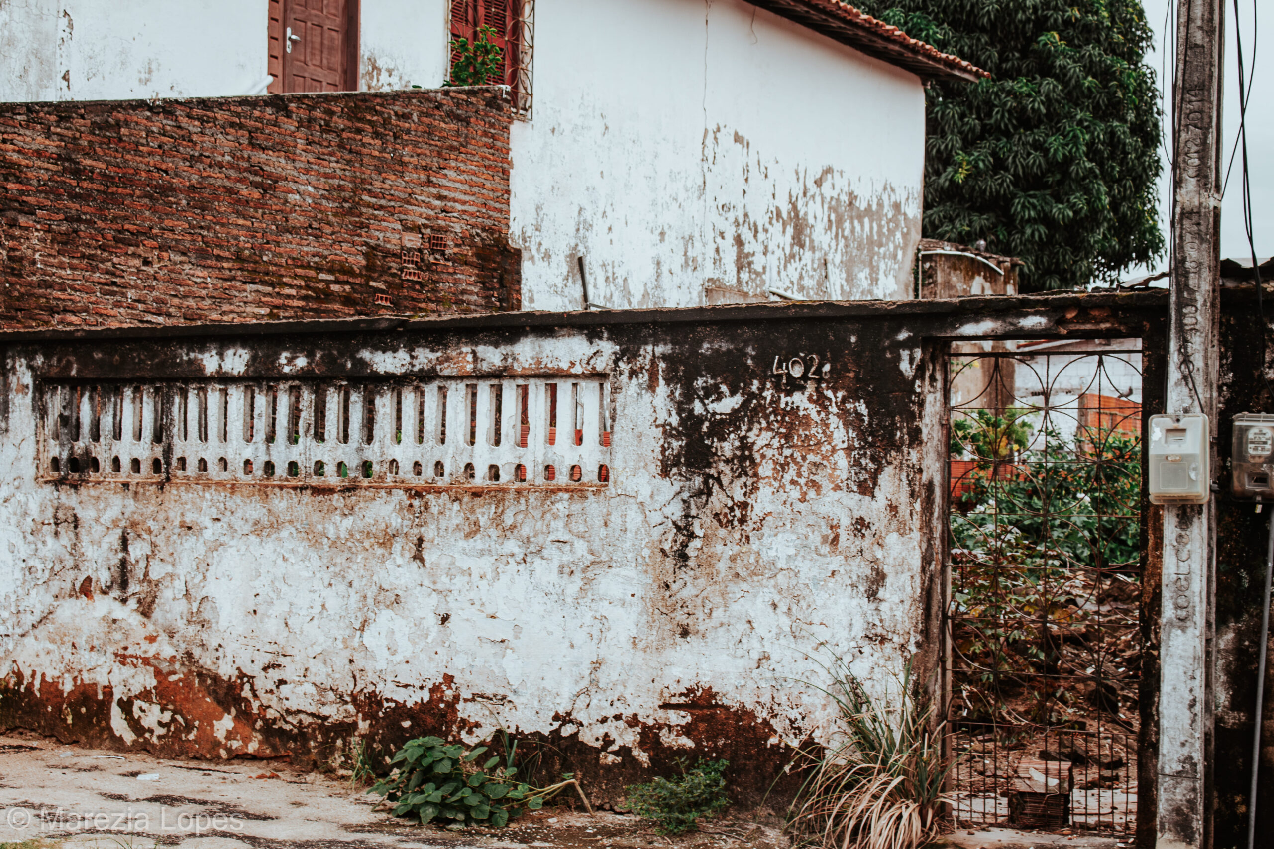 Retrato do abandono: Marezia, 2025.