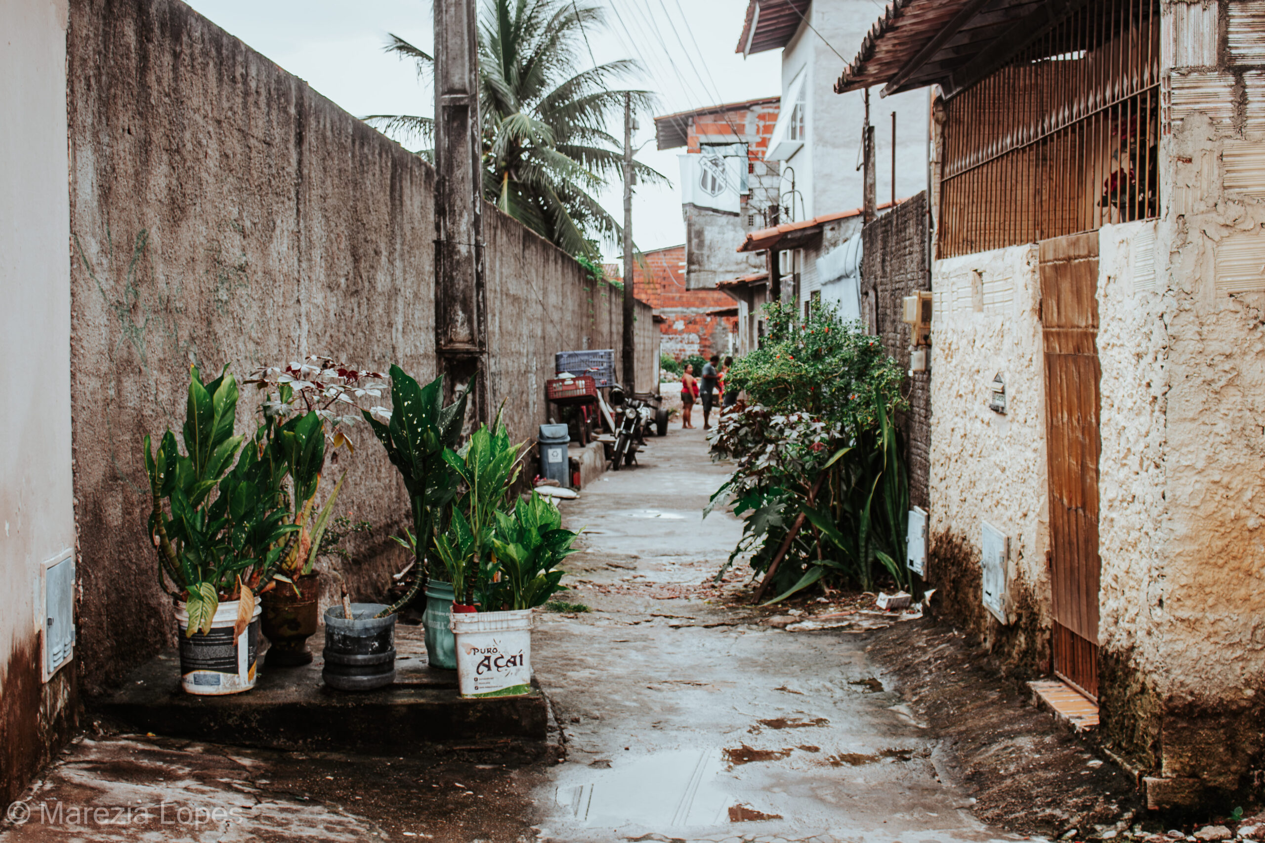 Quando a chuva chega: Marezia, 2025