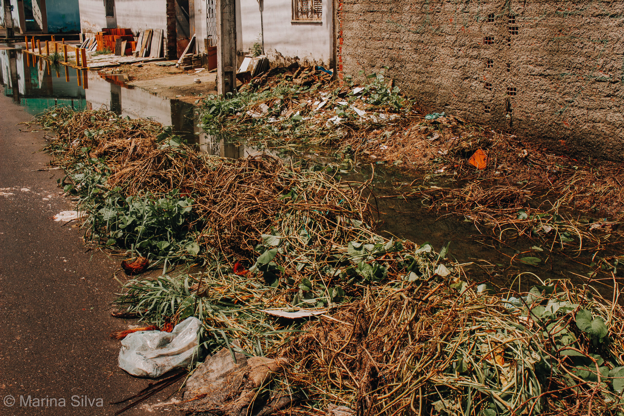 Calçada tomada: Marina, 2025