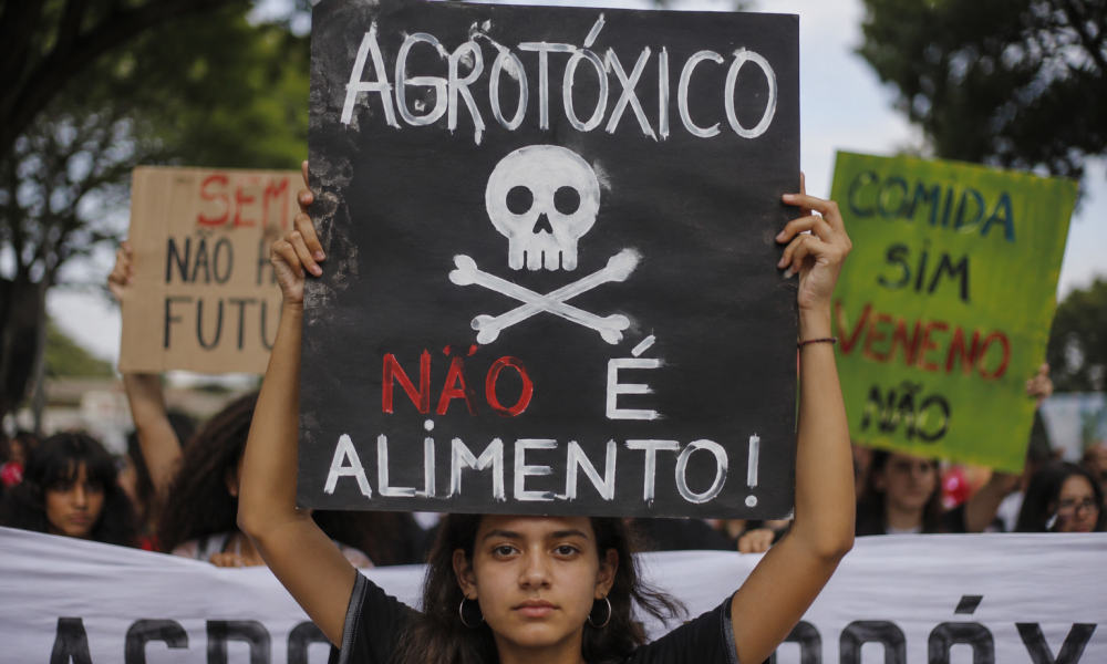 alimento