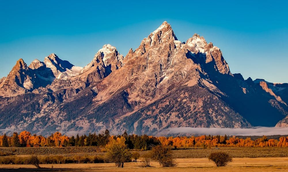 pexels-pixabay-210243